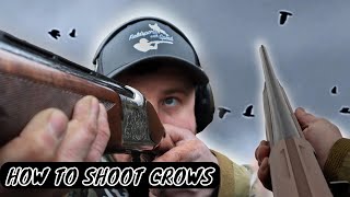 How to Shoot Crows | Crow Shooting | 100+ Bag