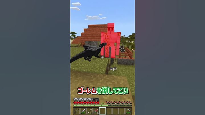 もしもエンダードラゴンが仲間になったら...【マインクラフト】