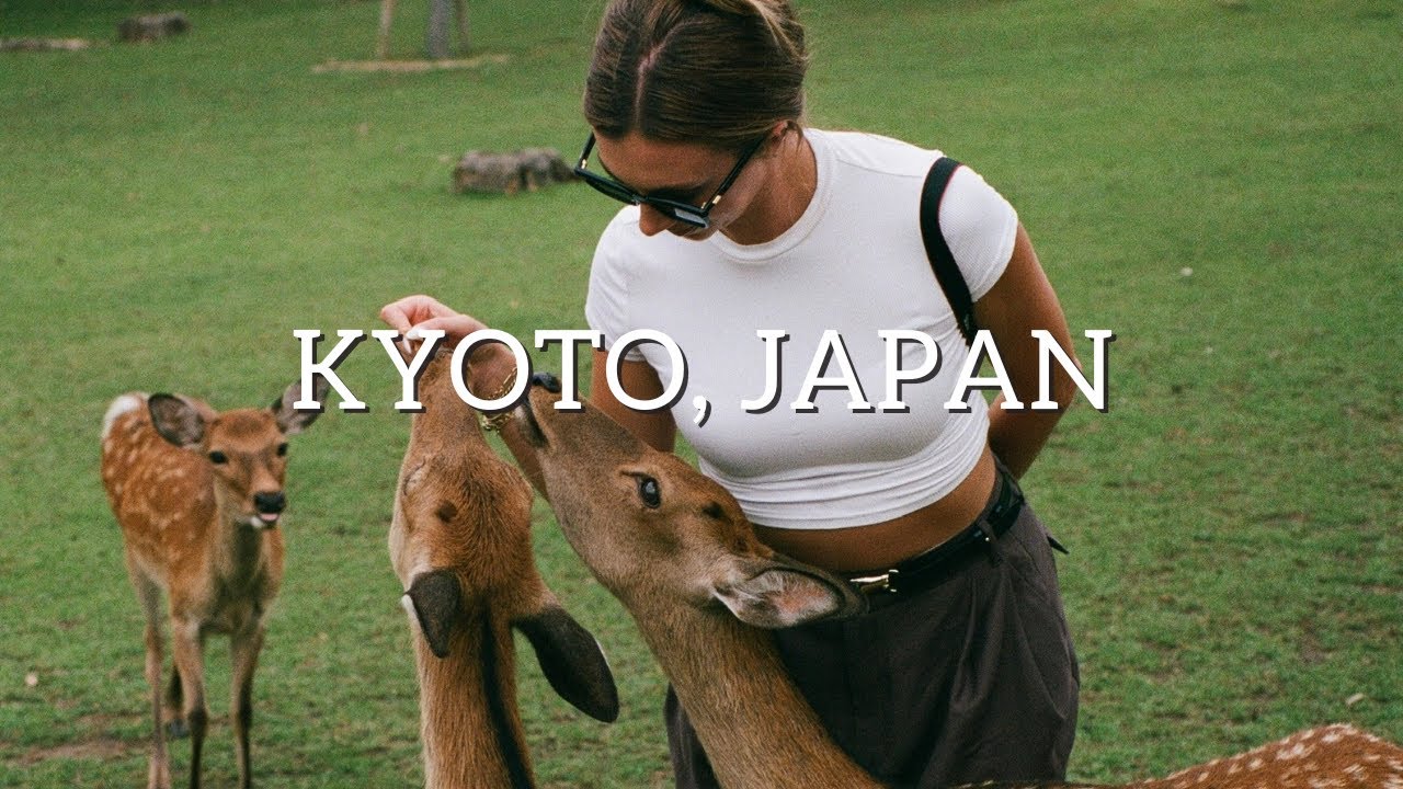 все, что мы делали в... КИОТО, ЯПОНИЯ