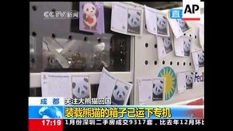 Two American-born giant pandas arrived at their new China home Friday to find just what they