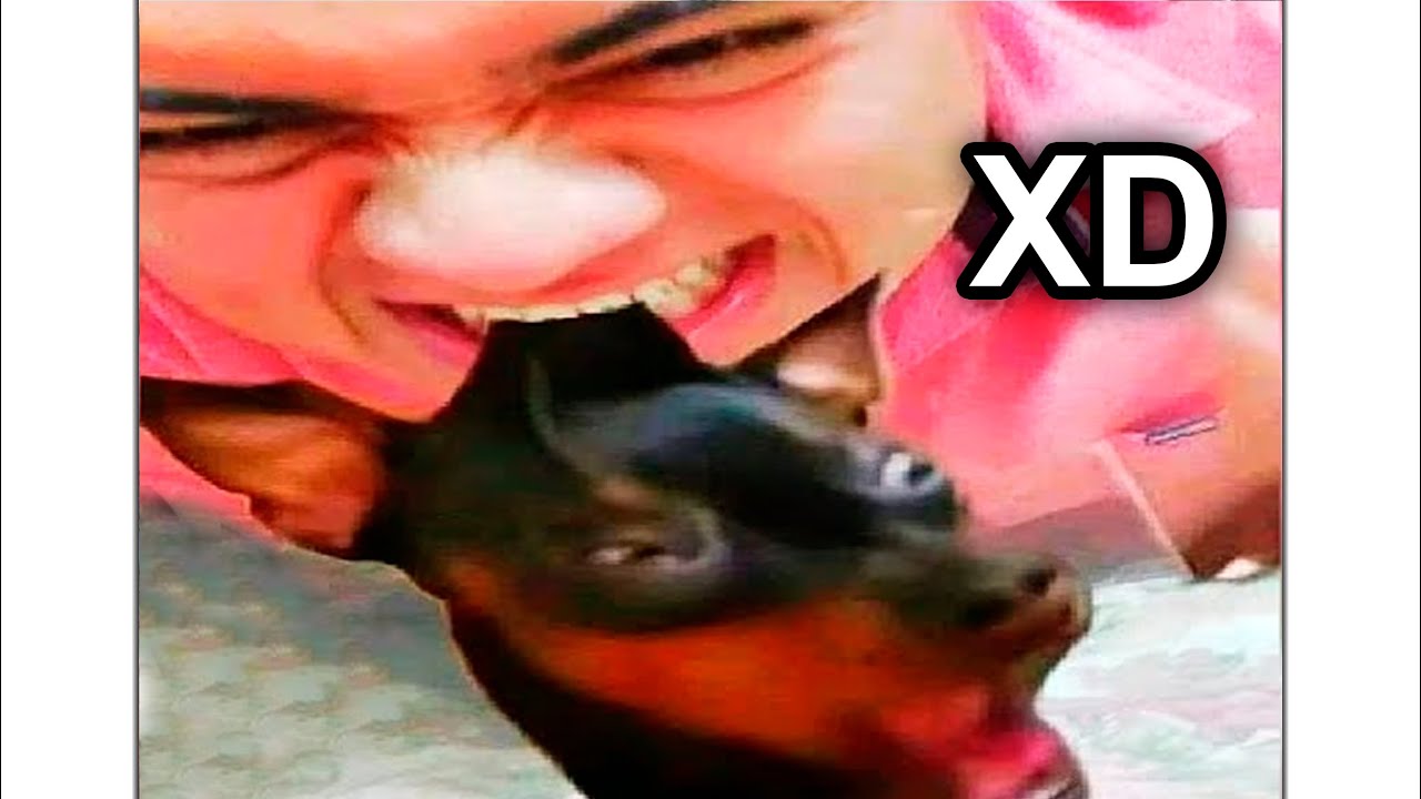 Media Hora De Momentos XD 