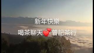 #紫砂壺 新年快樂💞白鶯山古樹茶山 #喝茶聊天