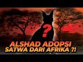 ALSHAD ADOPSI SATWA DARI AFRIKA ?? SAMPE BEGINI REAKSI GYA DAN ORANG TUA ALSHAD