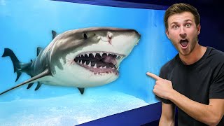 Inside Fish Store with $100,000 Shark Tank! (Private Tour)