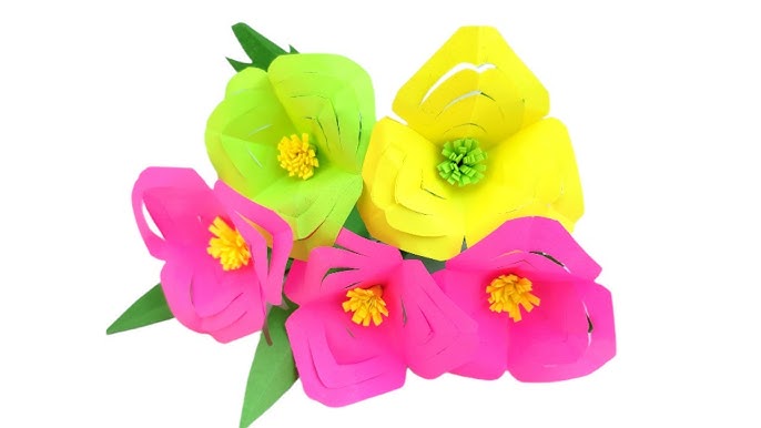 Порно лесбиянкалар өте жас