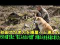 秋田犬が老人を廃屋へと導いた…その小屋で見た“信じられない光景”が彼の人生を永遠に変えた