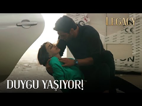 Ali is after Duygu | The Promise Episode 243