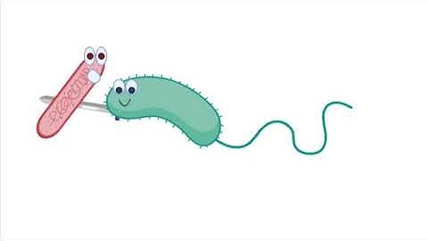 Super Hero Stabby Steven and the T6SS - a new medical breakthrough?