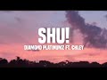 Diamond Platinumz ft. Chley - Shu (lyrics)