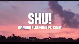 Diamond Platinumz ft. Chley - Shu (lyrics)
