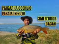 Рыбалка осенью на реке Или, рн Кунаевского моста, Аралтобе. РОЗЫГРЫШ МИНИ-ПЕЧКИ