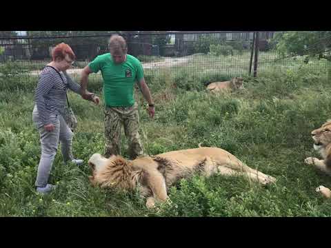 В гостях у