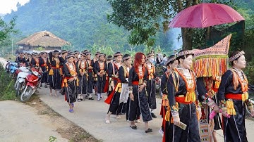 Phần 2 - Đám Cưới Dòng Họ Xinh Đẹp Nét Văn Hoá Tuyệt Của Người Dao Đỏ Lục Yên Yên Bái