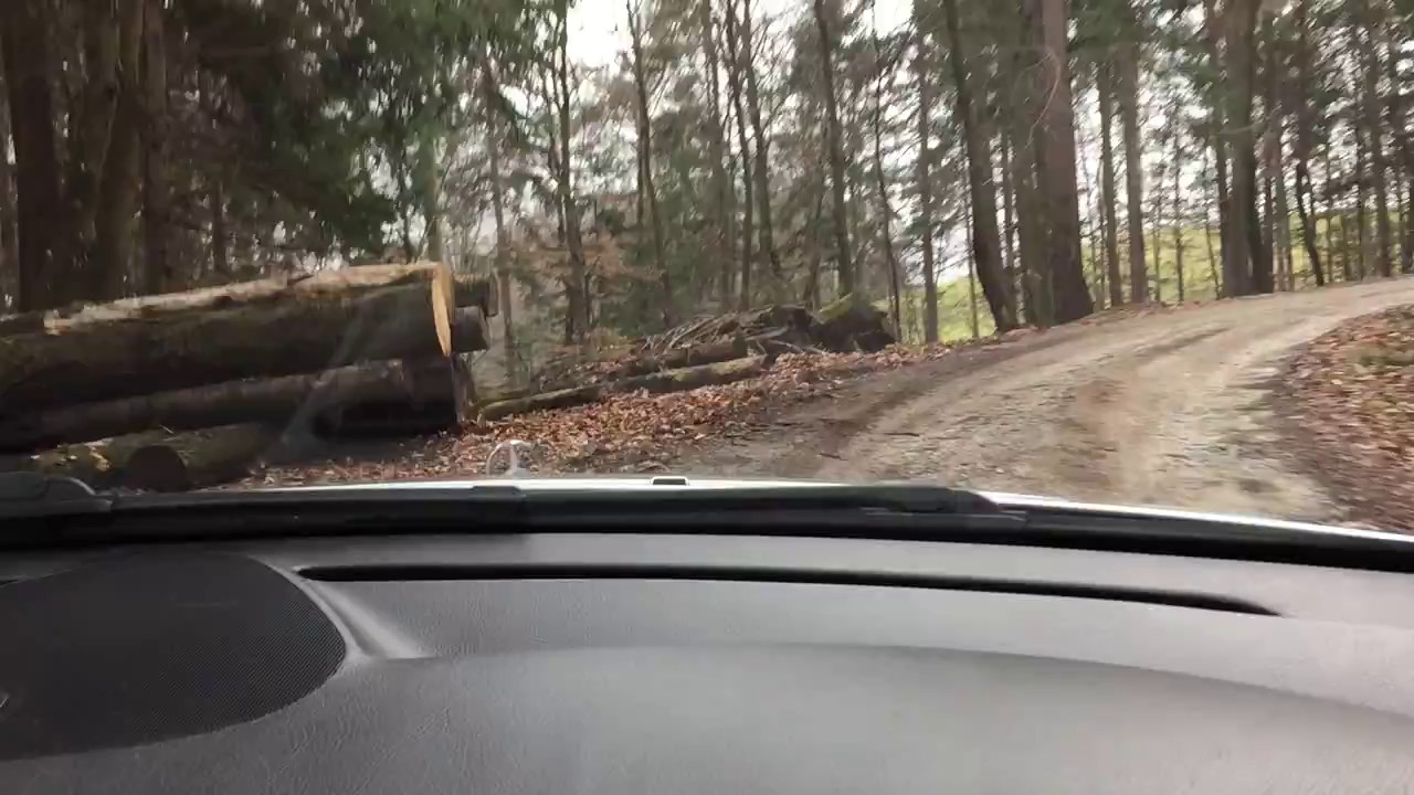 Mercedes-Benz C220d - Forest Ride and Drift