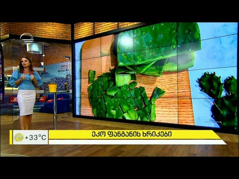 კაქტუსი სილამაზის სამსახურში - ეკო ფანგანის ხრიკები