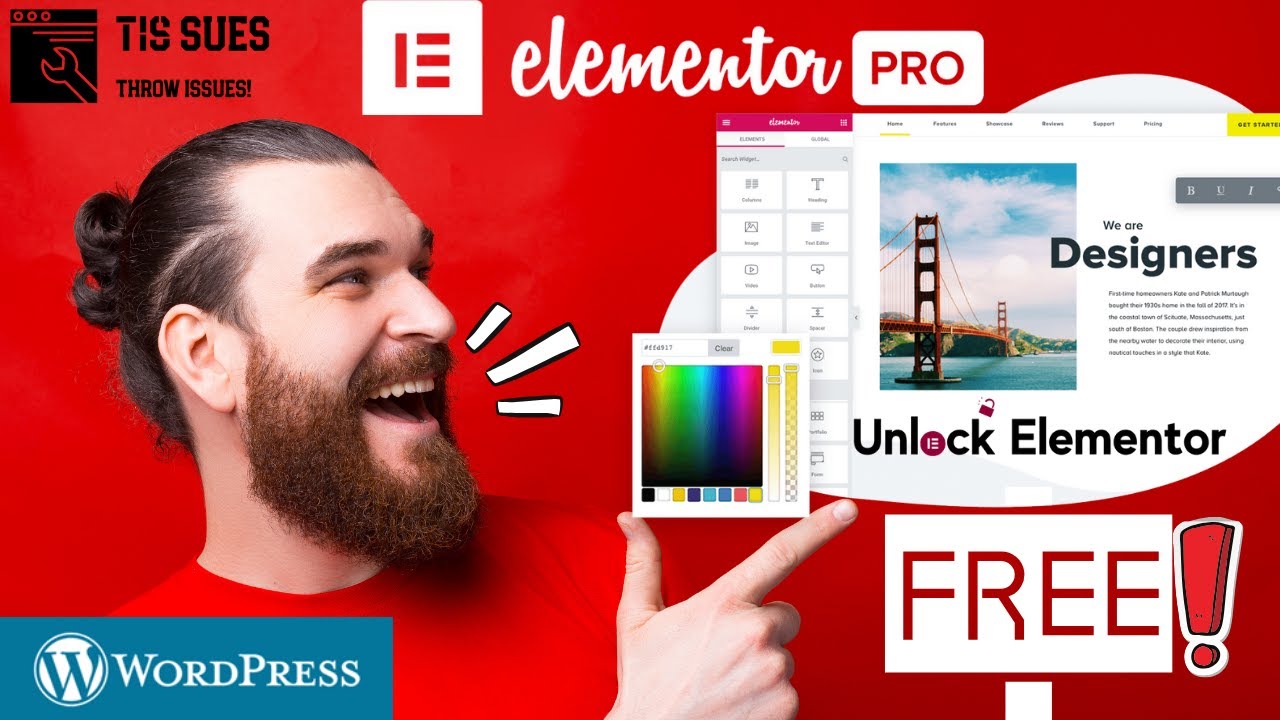 How to get Elementor Pro for Free | Wordpress Tutorial 2024 | Tissues ...