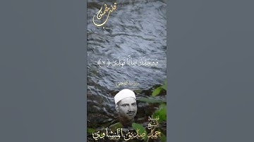 📻أبدأ يومك ب #القرآن_الكريم  🕊️انه خير ما تبدأ به يومك♥️#سورة_الضحى #المنشاوي