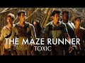 ↳  THE MAZE RUNNER  || TOXIC