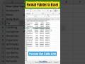 Use Format Painter in Excel Like a Pro!