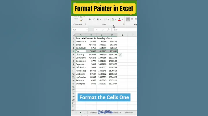 Use Format Painter in Excel Like a Pro!