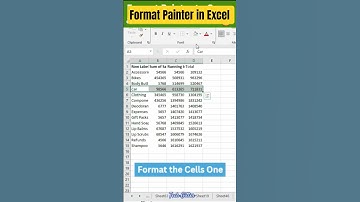 Use Format Painter in Excel Like a Pro!
