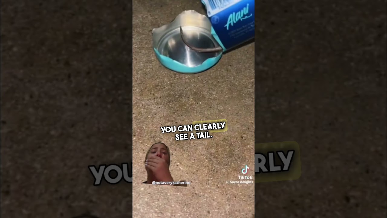 Алани отменяют себя 😳