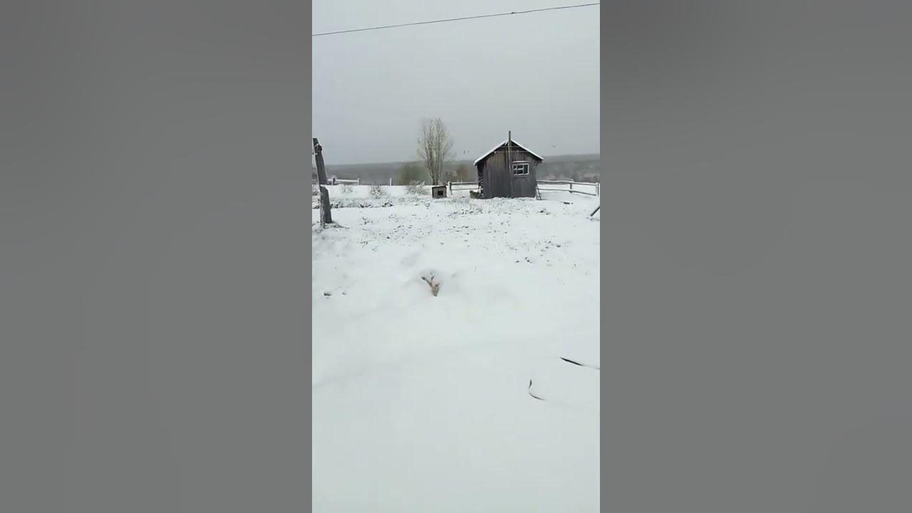 Деревня снег ночь. Апрель со снегом в деревне. Чмтсмт снег в деревне от 1 лица.