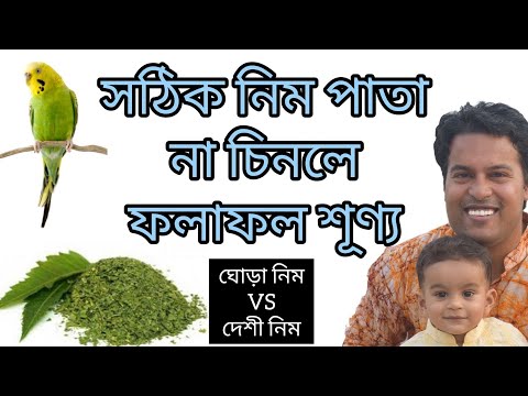 ভিডিও: কীভাবে মাইনক্রাফ্টে ঘোড়া তৈরি করবেন