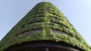 Welcome to Eden - one of the UK