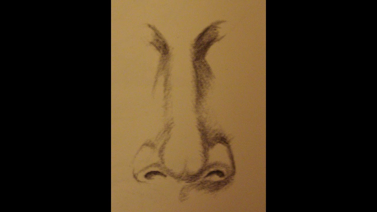 Come Disegnare Un Naso In Modo Semplice Wie Zu Zeichnen Nase