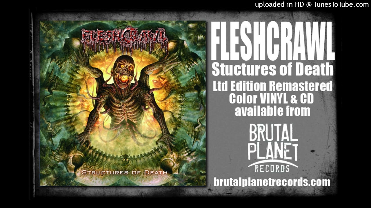 Flesh and Blood　Dyadic Carapace　CF拡張アート版 Flesh and Blood Dyadic Carapace CF拡張アート版