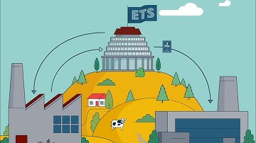 The Emissions Trading Scheme | New Zealand market
