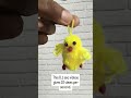 Easy amigurumi chick keychain/ crochet key car charm