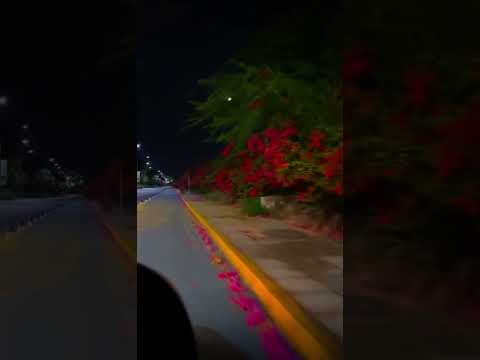 Shorts تصميم غريب ال مخلص شد انتباه لونك الي زهاه