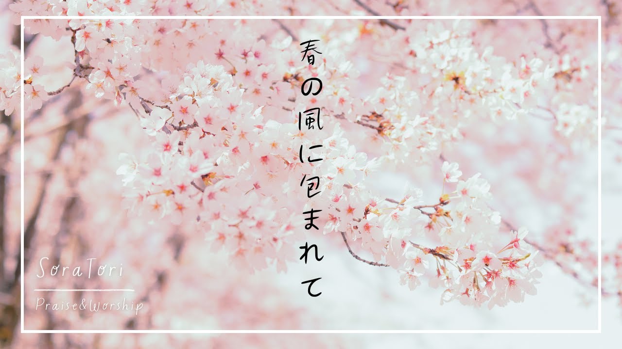 Wrapped in the Gentle Spring Breeze｜Peaceful Worship Piano BGM