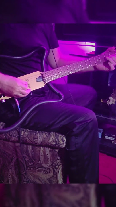 Senorita #guitar #music #guitarcover #bollywood #bollywoodsongs
