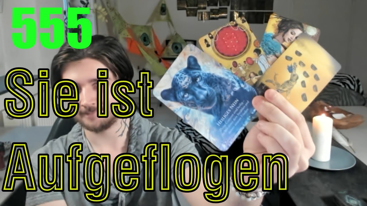 555: Die Bestätigung, auf die du gewartet hast! (Du hattest die ganze Zeit recht)