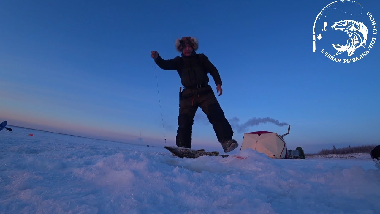 Огромные щуки на жерлицы в Якутии — 2 часть! Fishing pike Yakutia