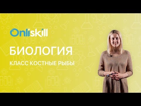 Биология 7 класс: Класс Костные рыбы