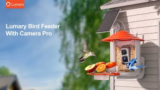 Lumary Smart Bird Feeder with Camera (L-BFC0B1) by Lumary Smart Home 355 views 4 months ago 2 minutes, 43 seconds