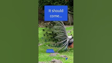 Find your Niche? #niche #Profitable #money #naturally #online #shorts