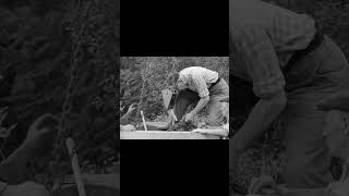 Das Mühlsteinhauergewerbe. Teil 2: Herstellen eines Basaltmühlsteins/ Making a basalt millstone