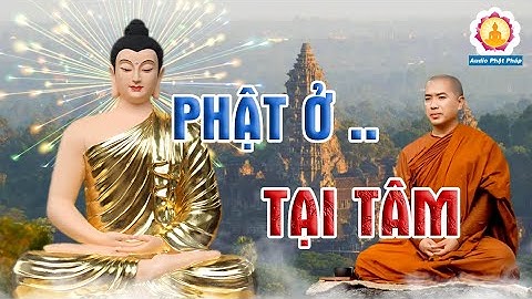 So sánh năng lực hành vi của cá nhân và pháp nhân