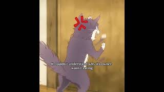 My roommate is a cat - Anime