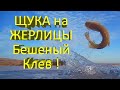 БЕШЕНЫЙ КЛЕВ щуки, вот это рыбалка! Щука на жерлицы в декабре. Первый лед 2022 (часть 3).