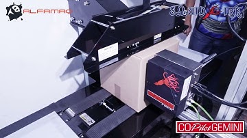 Codificación en alta resolución caracter grande - Copilot Gemini de Squid Ink