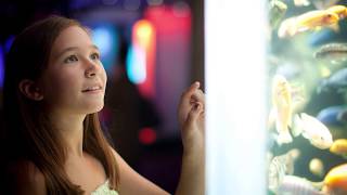 Improving the Visitor Experience at Mystic Aquarium