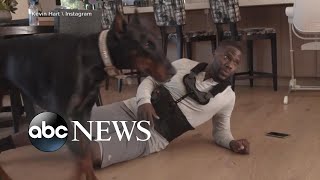 Kevin Hart opens up on recovery from car crash l ABC News