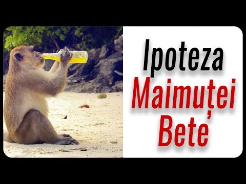 Video: Ce este opusul maimuței?