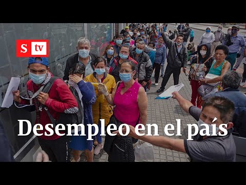 ¿Cómo va el desempleo en Colombia? | Semana Noticias